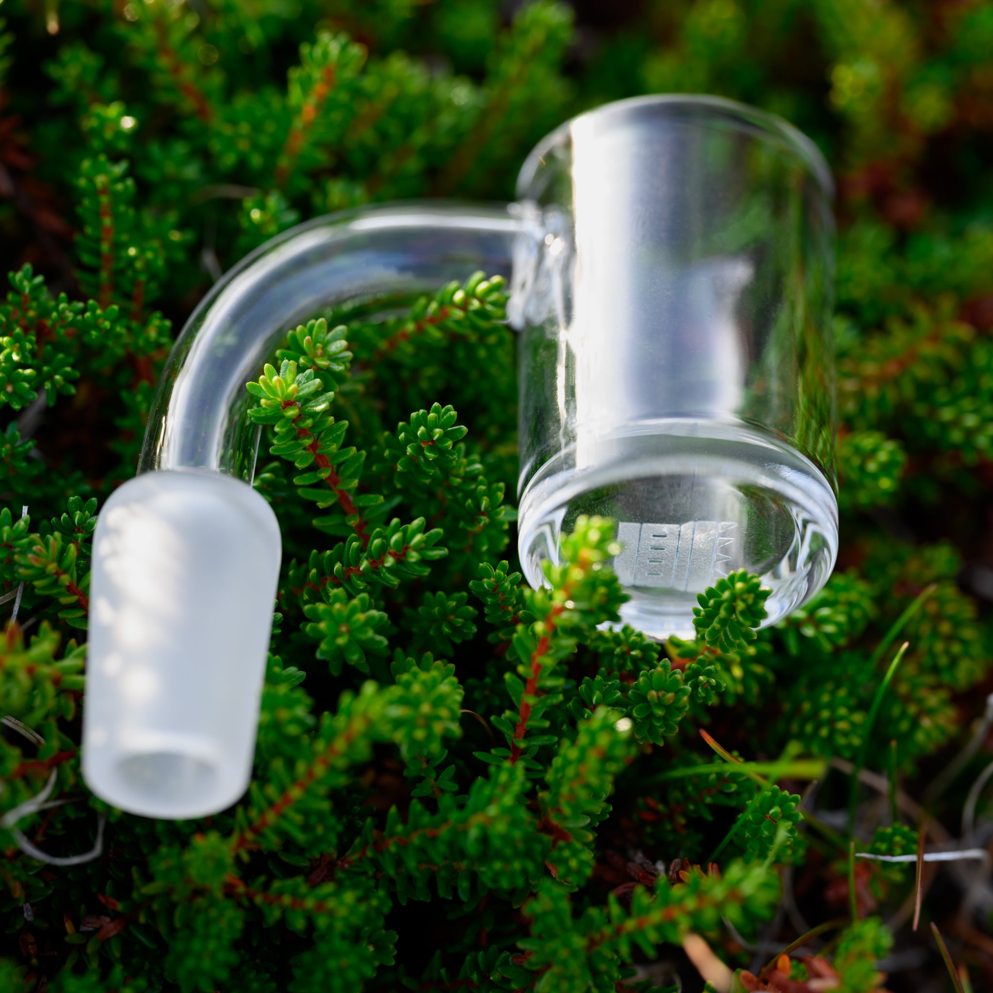 Glass quartz banger with a frosted joint rests delicately on a bed of vibrant green moss-like plants. Clear bucket-style design features subtle Castle Glassworks branding etched near the base, emphasizing its premium craftsmanship. The smooth, curved neck contrasts with the intricate texture of the surrounding foliage, creating a harmonious balance between modern glass artistry and natural elements. Soft natural lighting highlights the transparency and elegance of the piece in this serene outdoor setting.