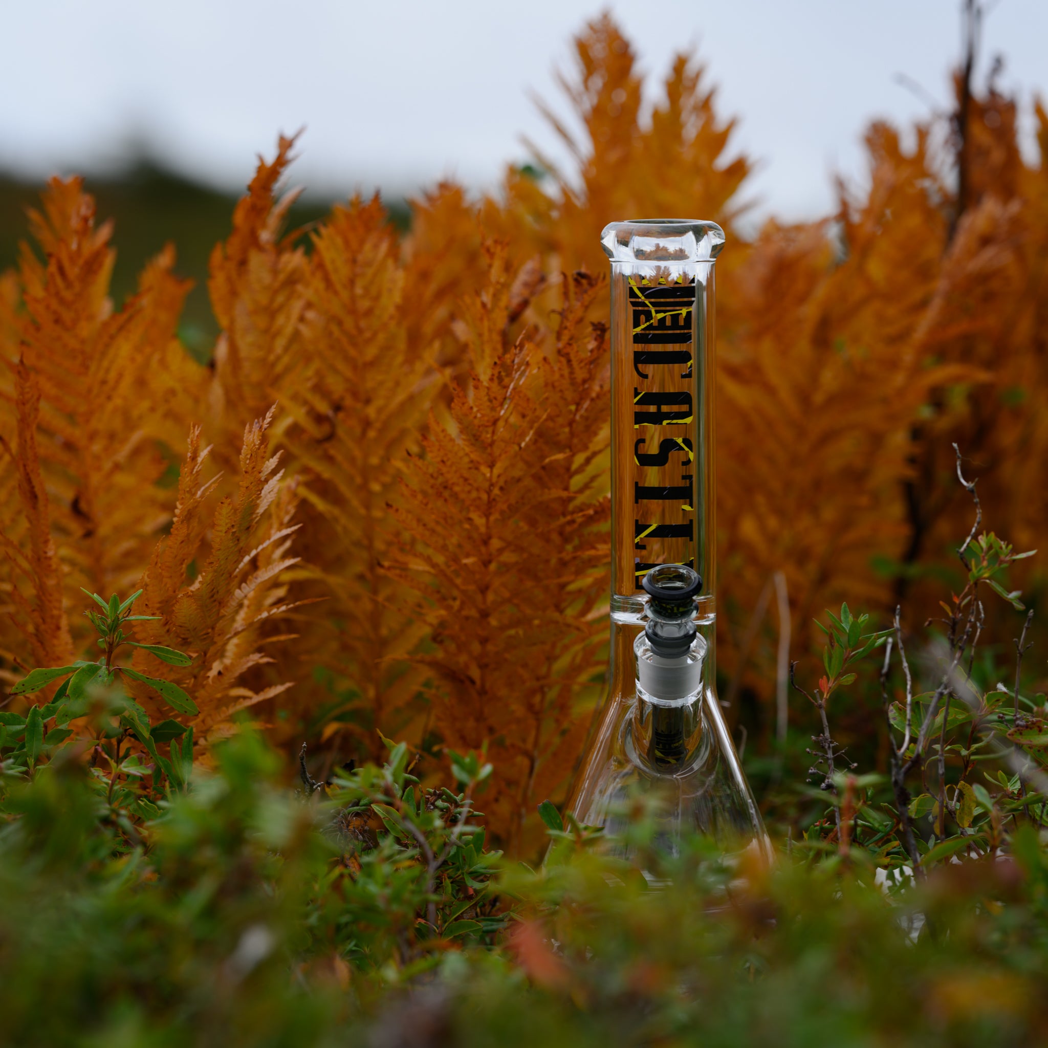 A 14" glass bong from Castle Glassworks stands amidst lush greenery and golden ferns. The clear glass piece features bold black and yellow "CASTLE" branding on the neck, with a sleek, modern design. The bowl is packed and ready, adding to the functionality and appeal of the piece. The natural backdrop of autumn-toned foliage creates a striking contrast, highlighting the craftsmanship and premium quality of the bong in an earthy, outdoor setting.