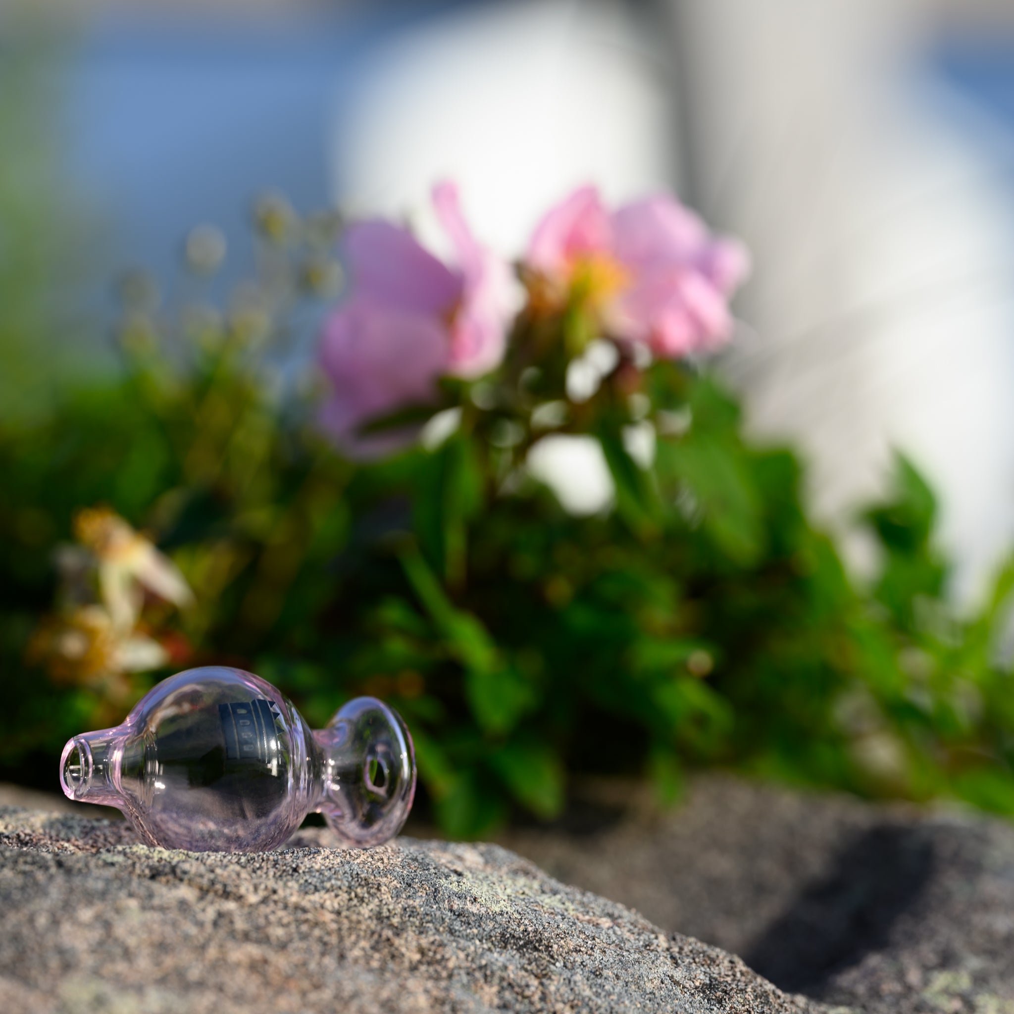 A delicate, pink-tinted glass carb cap rests on a textured rock surface, bathed in soft natural light. The smooth, symmetrical design features two spherical chambers with airflow channels on either side. In the blurred background, vibrant pink flowers and lush greenery add a serene and organic touch, complementing the elegance of the glass piece. The composition highlights the craftsmanship and aesthetic appeal of the accessory in a tranquil outdoor setting.