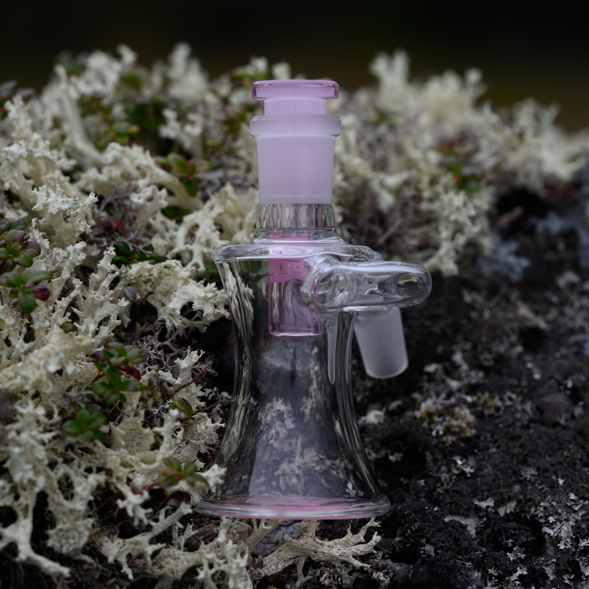 A compact, high-quality glass Dry Ash Catcher attachment with soft pink accents is placed on a textured rock surface surrounded by lush white and green moss. The piece has a sleek, curved design with a flared base for stability and a recycler chamber for smooth airflow. The frosted pink joint and inner details add a delicate touch, contrasting beautifully with the rugged, organic background. The natural setting enhances the aesthetic appeal, highlighting the craftsmanship and elegance of the glassware.