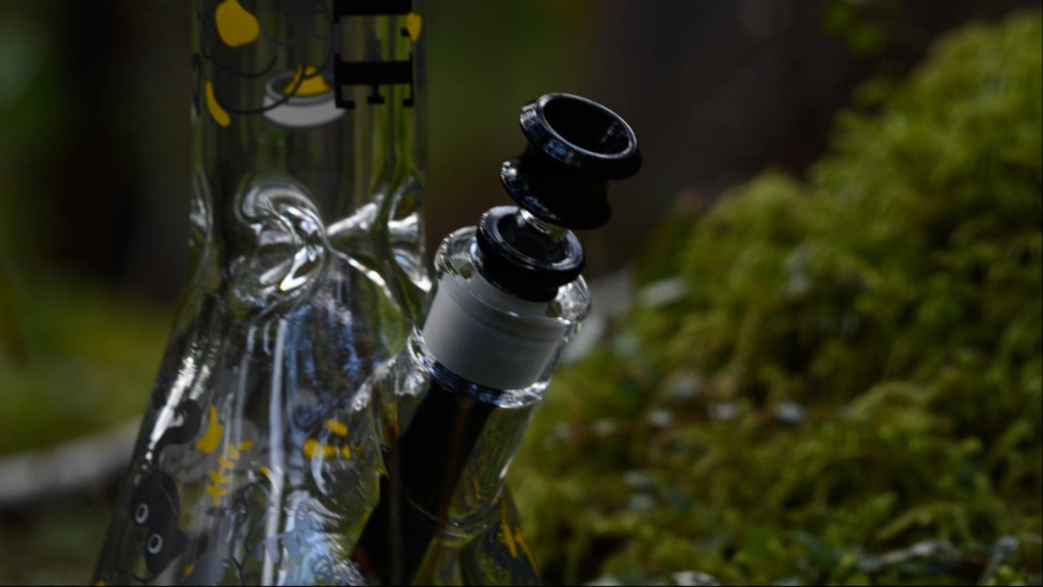 A clear, beaker-style glass bong featuring playful yellow and black cat designs rests on a bed of vibrant green moss in a forest setting.