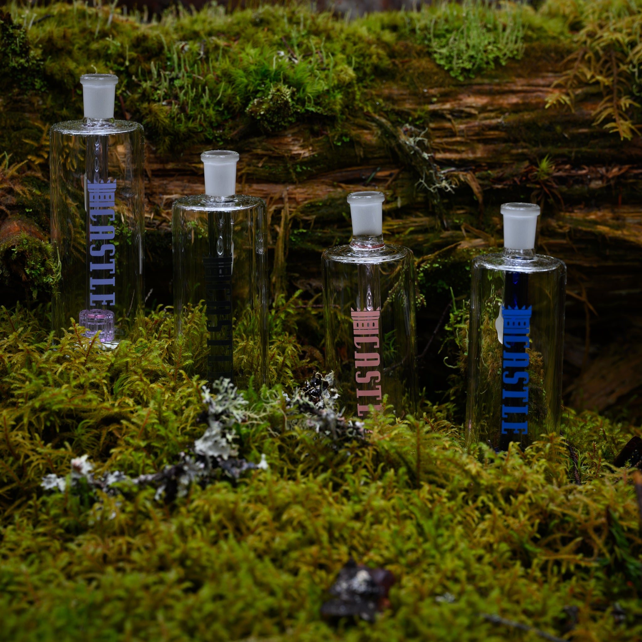 Four clear glass ash catchers, each branded with the name "Castle" in different colors (pink, black, purple and blue), are arranged on a lush, moss-covered surface. The background includes a fallen log and additional greenery, creating a natural and earthy setting.