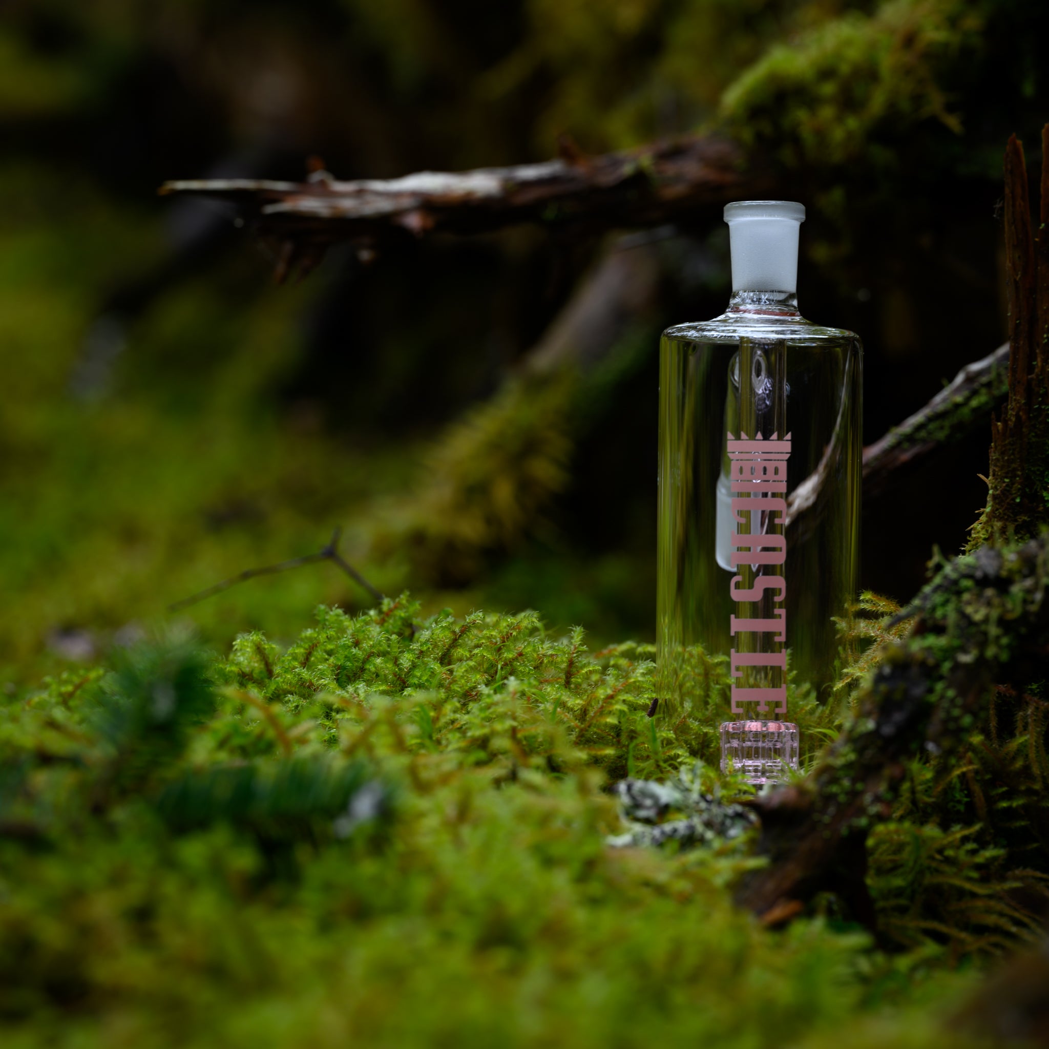 A clear glass ash catcher branded with the name "CASTLE" in pink letters, placed on a bed of vibrant green moss. The background features a blurred mix of moss, fallen branches, and natural forest elements, creating a serene and earthy atmosphere. The ash catcher stands out against the rich green moss, highlighting its sleek and clean design.