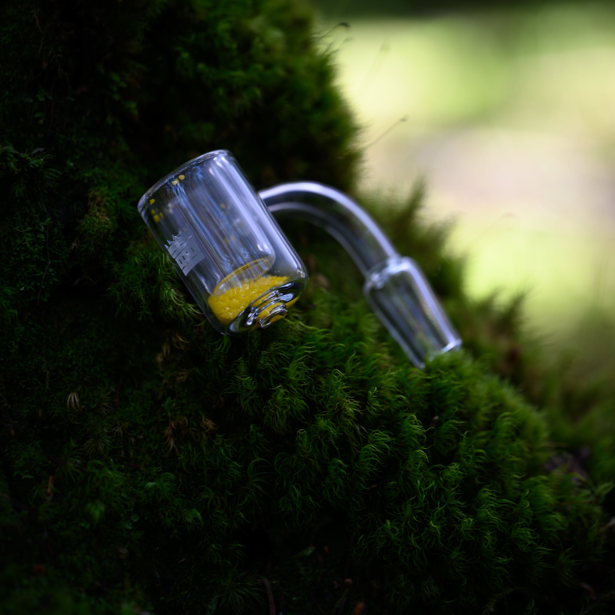 A glass quartz banger with a curved neck and frosted joint rests delicately on a lush bed of vibrant green moss. The clear bucket-style design features a subtle Castle Glassworks logo and intricate yellow fritted detailing at the base. The soft, diffused light filtering through the forest canopy enhances the organic contrast between the smooth, polished glass and the rich texture of the moss. The scene evokes a natural, tranquil aesthetic that highlights the craftsmanship and purity of the piece.