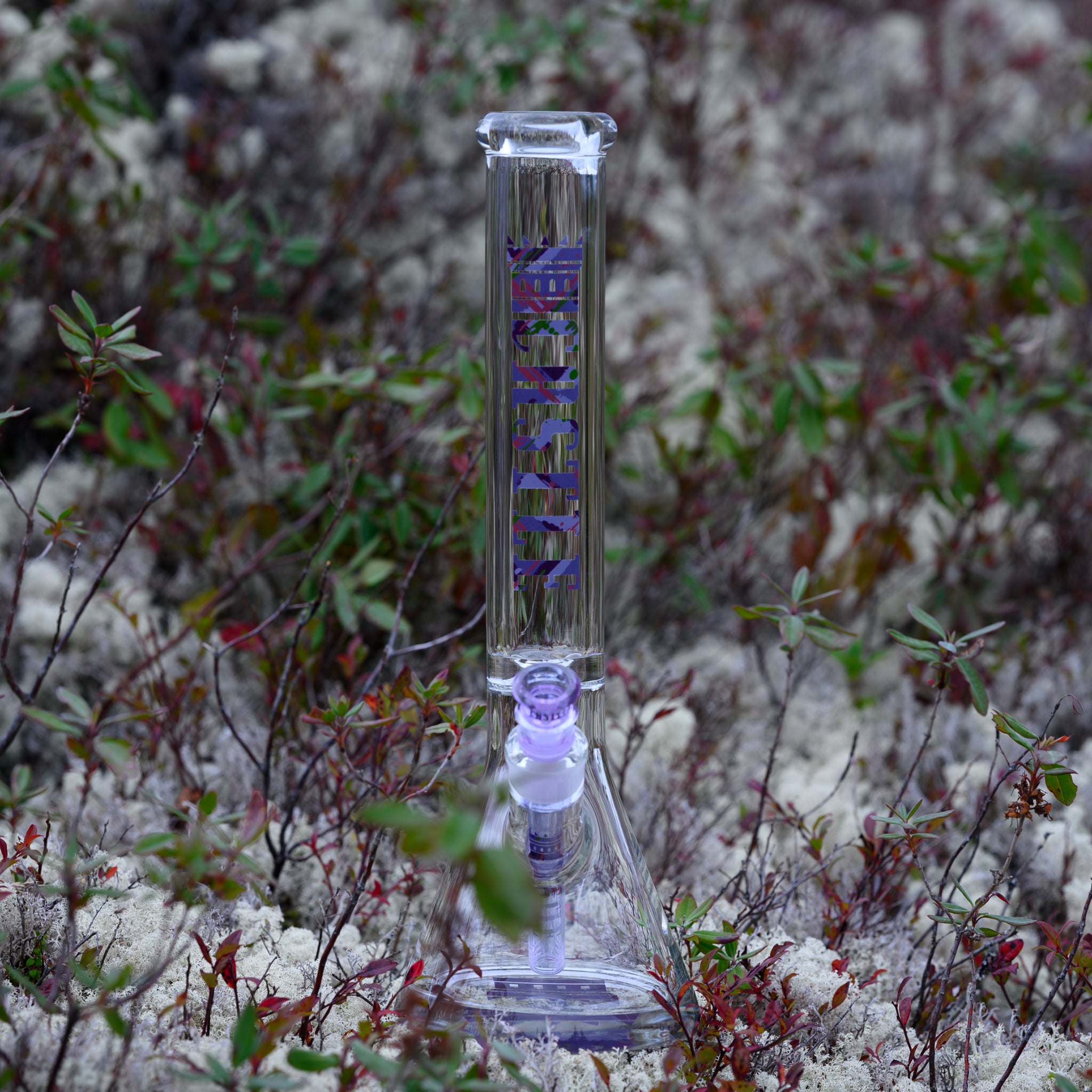 A glass bong with elegant purple accents stands amidst a bed of soft white moss and delicate green shrubs. The transparent beaker-style piece features the bold "CASTLE" branding in metallic purple along the neck, complemented by a matching frosted purple bowl and downstem. The muted tones of the natural setting contrast beautifully with the smooth, reflective glass, emphasizing its craftsmanship and aesthetic appeal. The scene exudes a tranquil, almost ethereal quality, blending nature with high-end glass.
