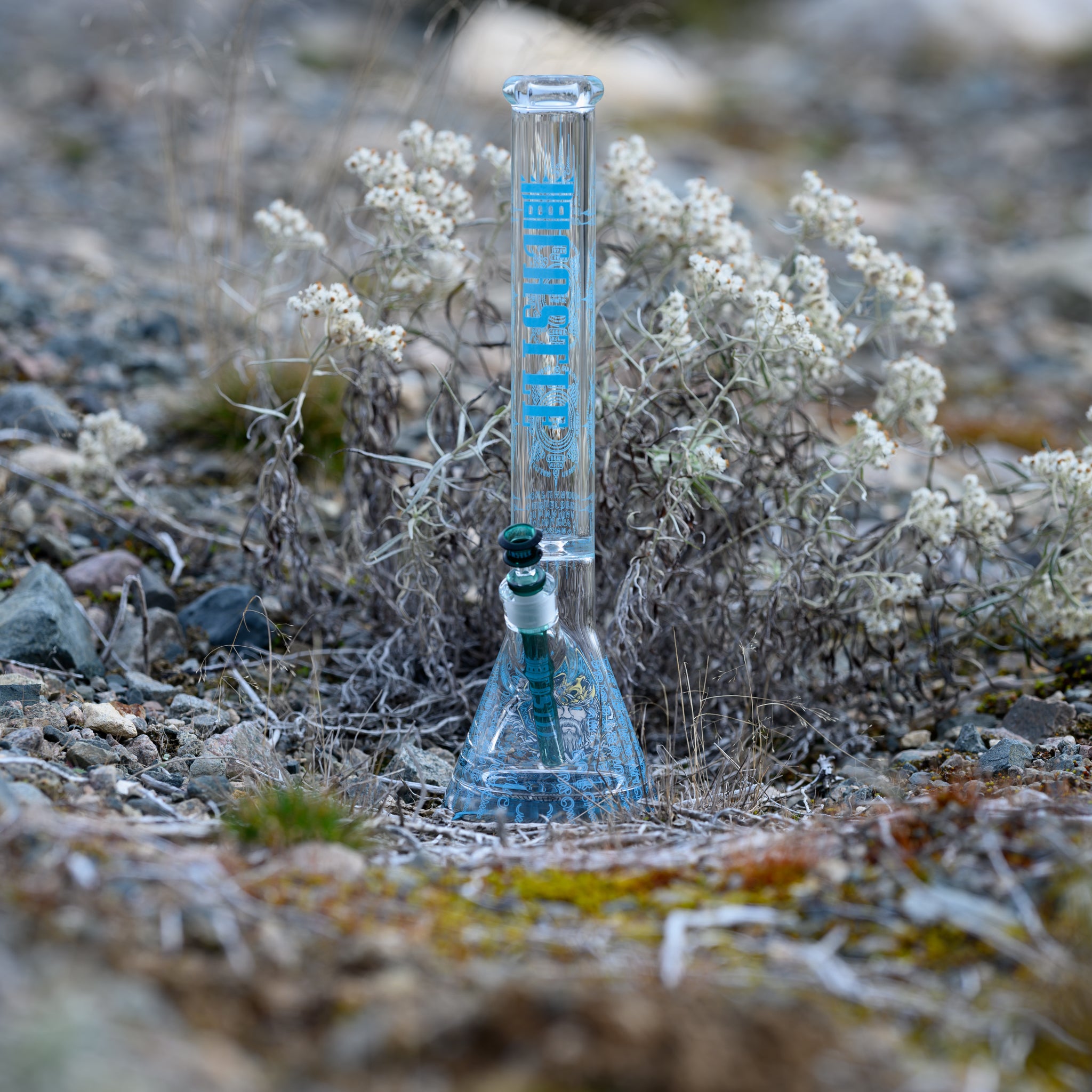 A tall, clear glass bong with blue lettering and patterns stands upright on rocky ground among pale white, dried flowers, highlighting its vibrant teal stem and overall sleek design in a natural outdoor setting.