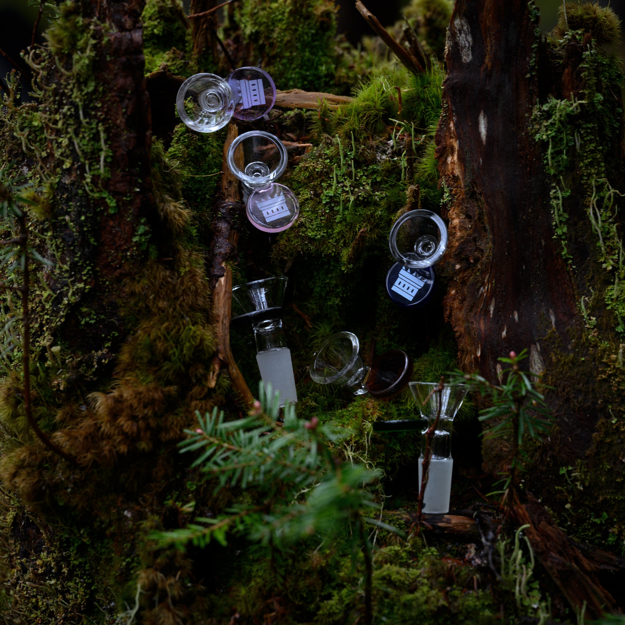 A collection of clear glass bong bowls with colored tabs, arranged on a moss-covered tree trunk in a forest setting. The bowls, are artfully placed among the rich green moss and natural wood textures. The scene blends the intricate craftsmanship of the glass bowls with the organic, serene beauty of the forest, creating a harmonious and visually appealing display. The soft, natural light enhances the details of both the glass and the surrounding foliage.