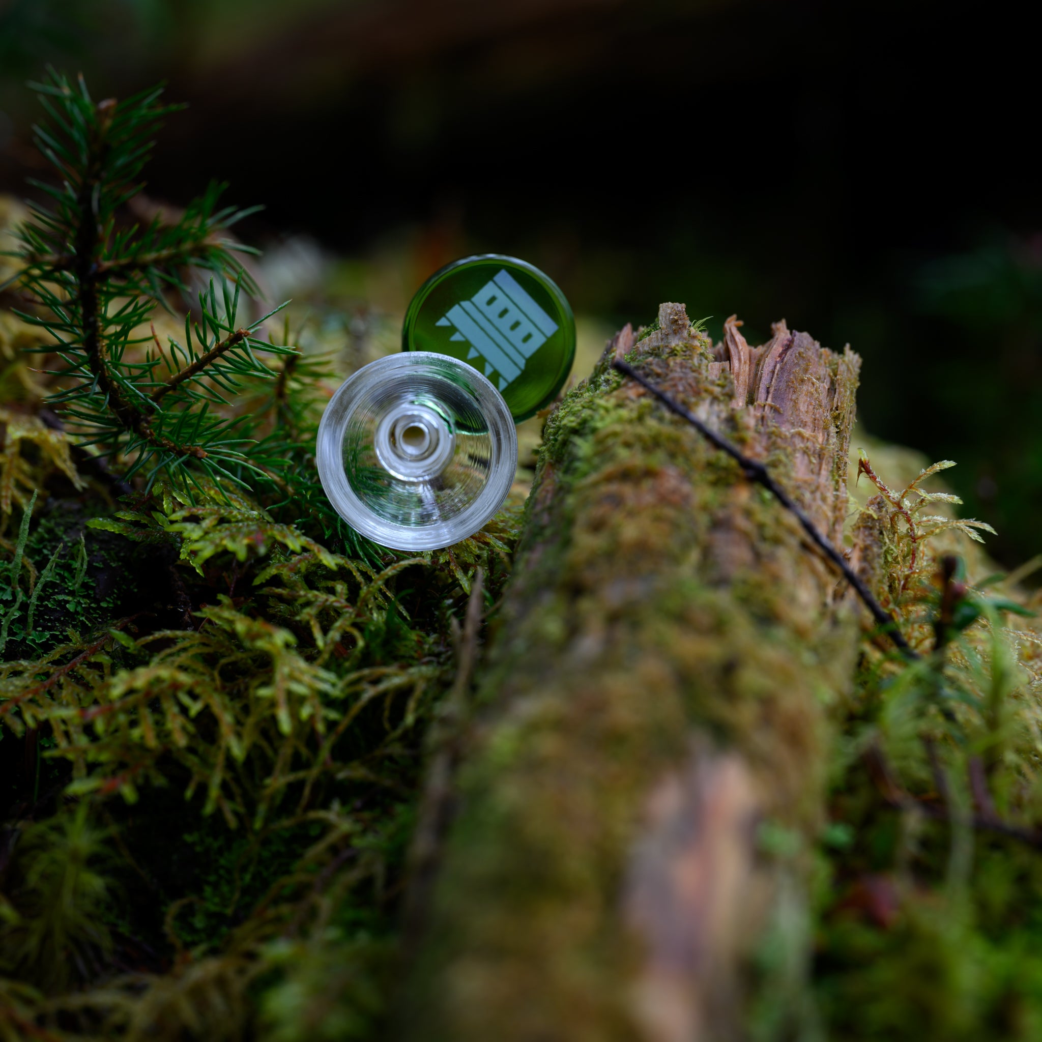 A sleek glass bowl with a rich green accent and a bold white "CASTLE" logo rests atop a moss-covered log in a dense forest. The transparent glass joint and polished edges reflect soft natural light, highlighting the craftsmanship of the piece. The organic textures of the moss, bark, and tiny evergreen branches create a harmonious contrast with the smooth, modern design of the glassware. The composition captures a serene blend of nature and artistry, emphasizing both durability and elegance.