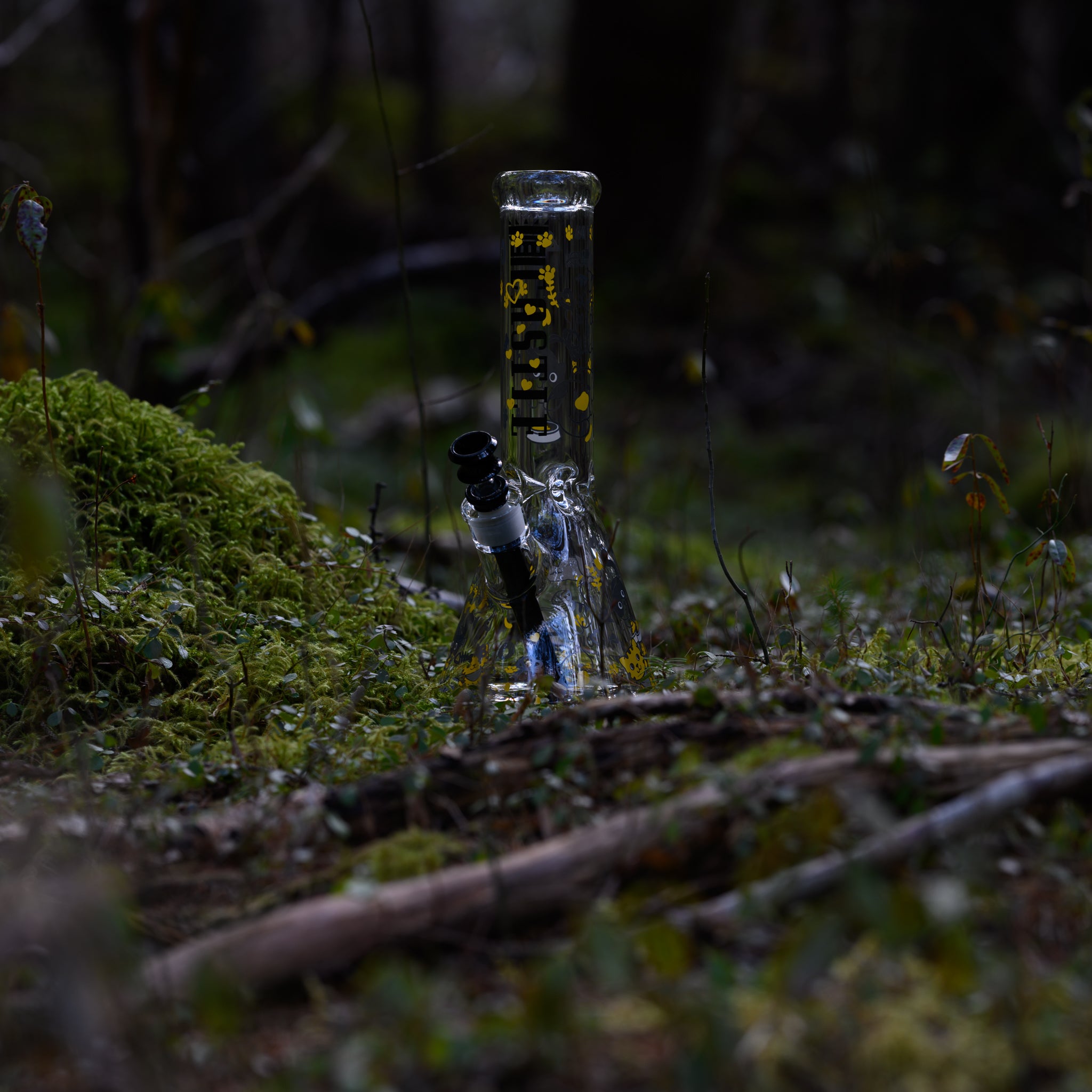 Clear beaker-style glass bong with a playful cat-themed design, standing upright on a bed of vibrant green moss.