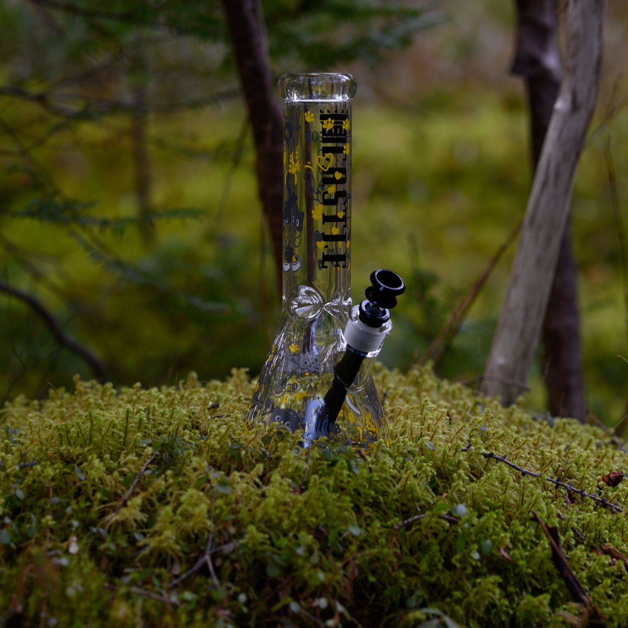 A clear beaker-style bong featuring a cartoonish cat design, set on mossy ground in a forest-like environment.